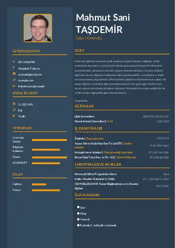 Gıda Mühendisi CV Örnekleri cv indir